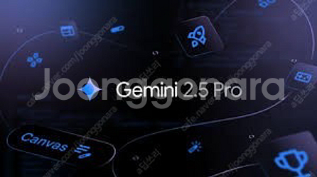 제미나이 프로 12개월--0