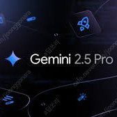 제미나이 프로 12개월