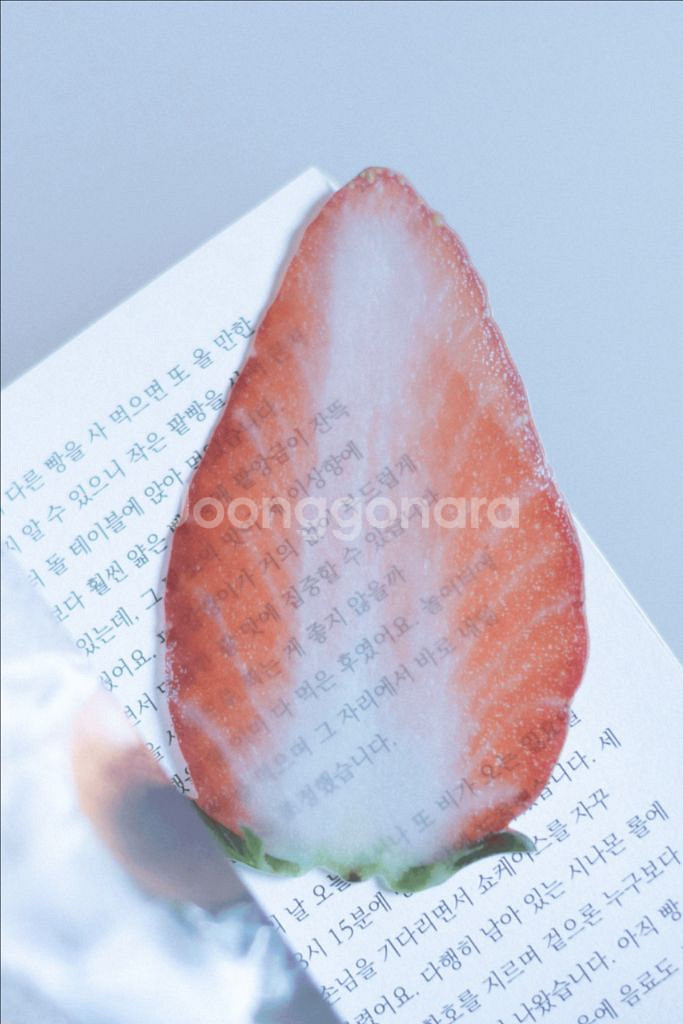 이옥토 옥토 딸기 책갈피 미개봉--1