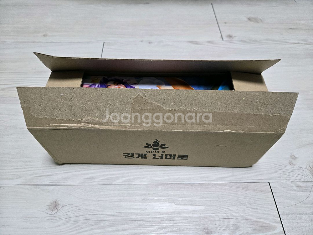 영혼의 꽃 온천 아리 마우스 장패드--1
