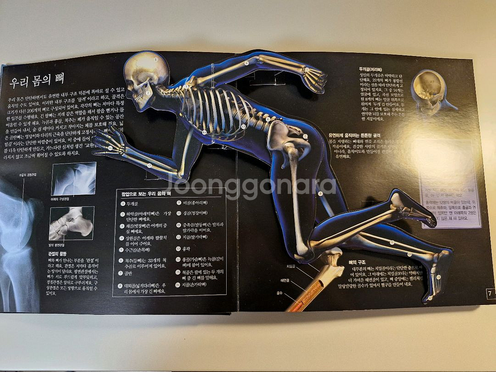 디스커버리 인체의 비밀 과학서적--0