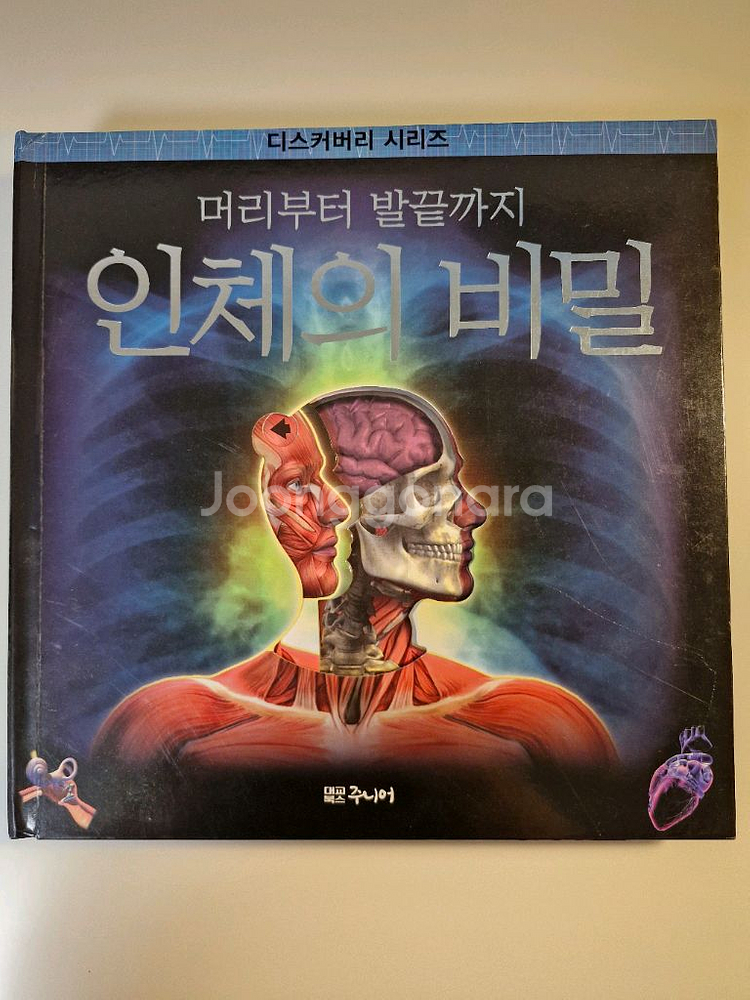 디스커버리 인체의 비밀 과학서적--2