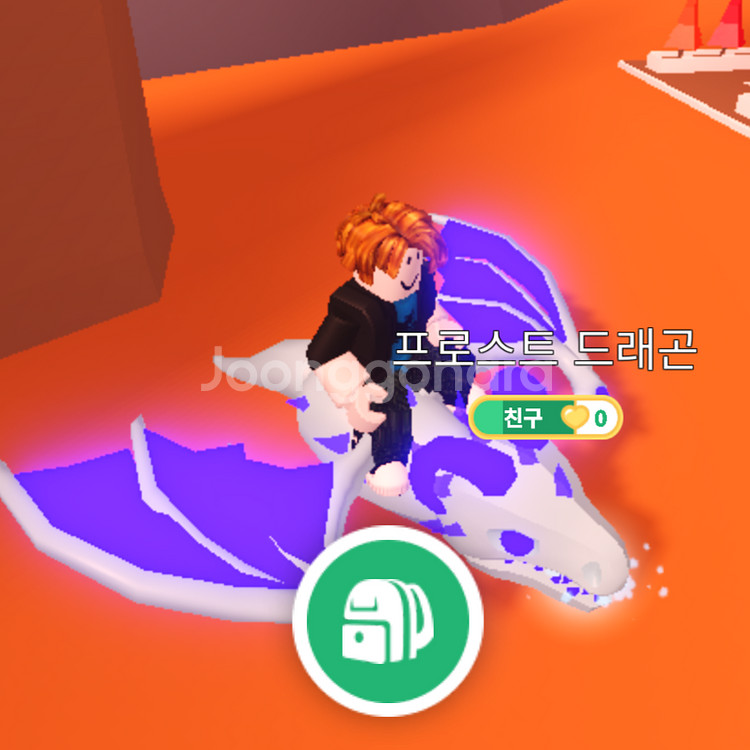 입양하세요 펫 메가네온 얼드 급처합니다.--0