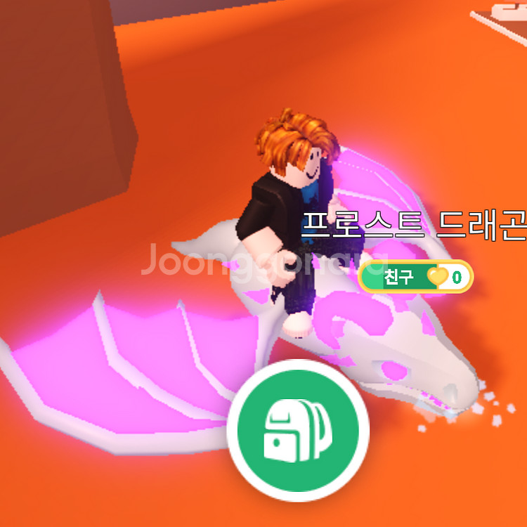 입양하세요 펫 메가네온 얼드 급처합니다.--2