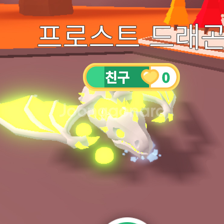 입양하세요 펫 메가네온 얼드 급처합니다.--3
