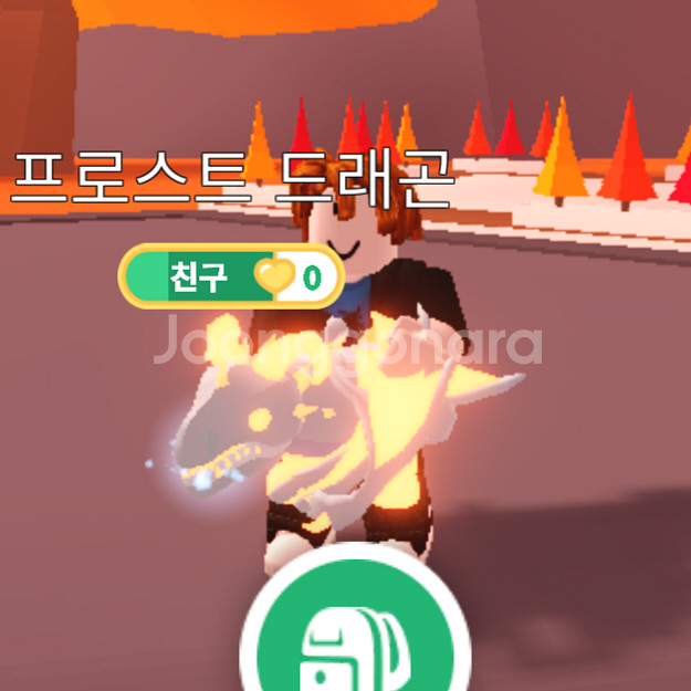 입양하세요 펫 메가네온 얼드 급처합니다.--4