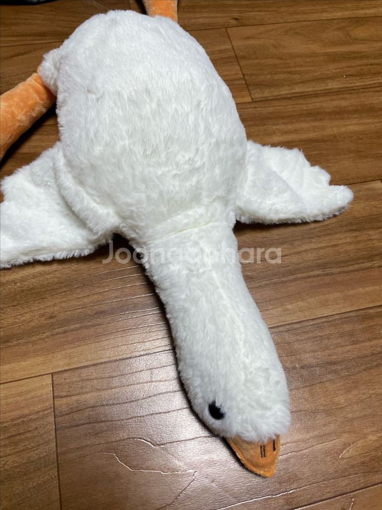 오리인형--0