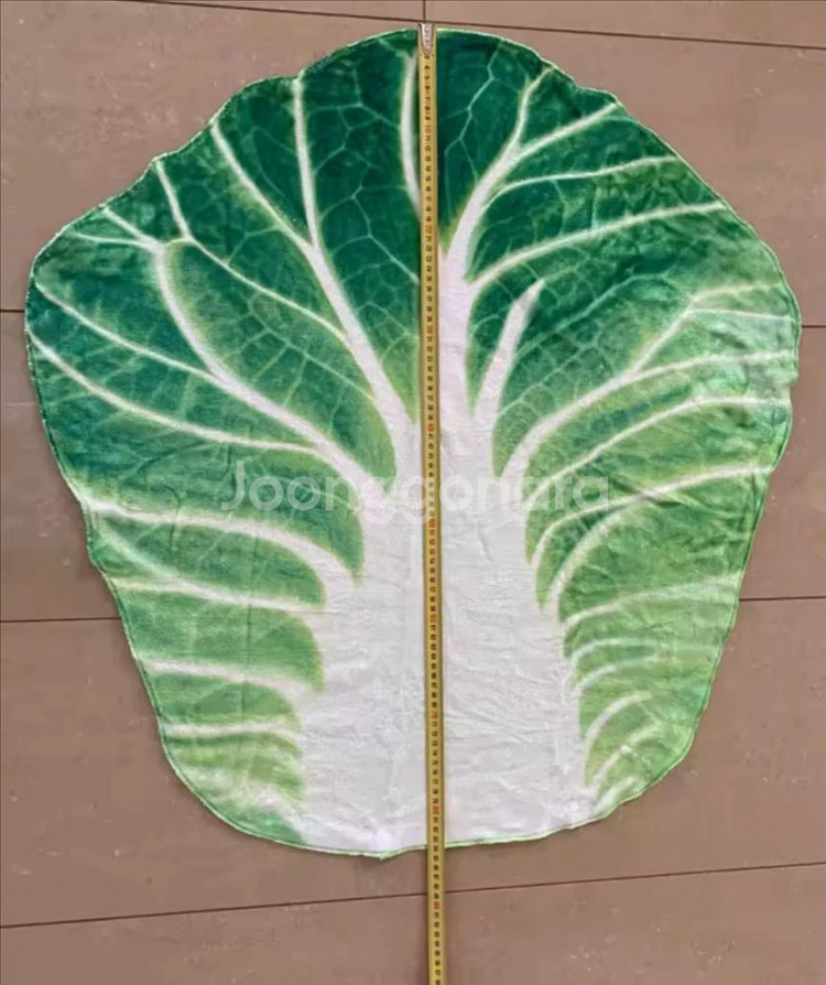 배추담요--0