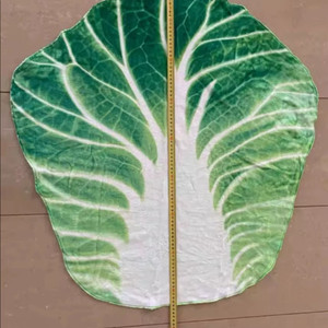 배추담요