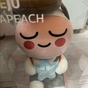 카카오프렌즈 해녀어피치, 죠르디인형, 죠르디 파우치 팜