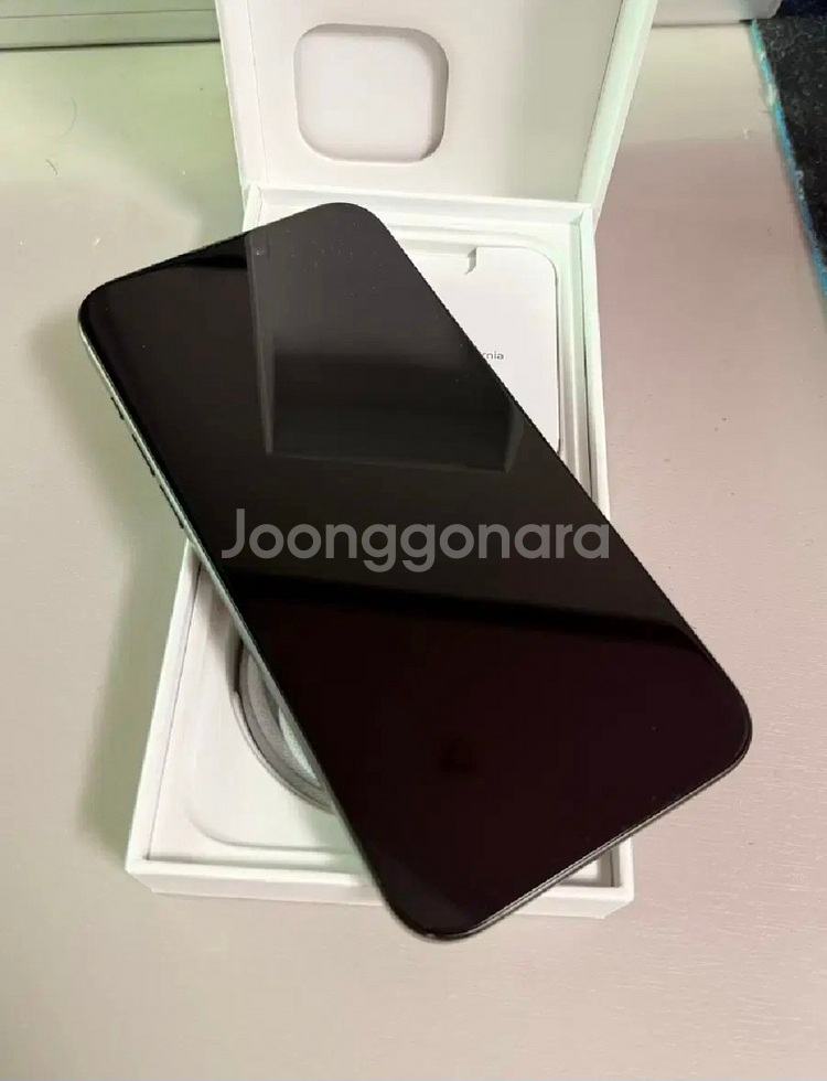 아이폰 15 Pro Max 스페이스 블랙 (애케플)--2