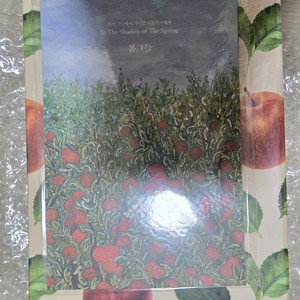 김차차 로맨스소설 봄그늘 박스본 미개봉