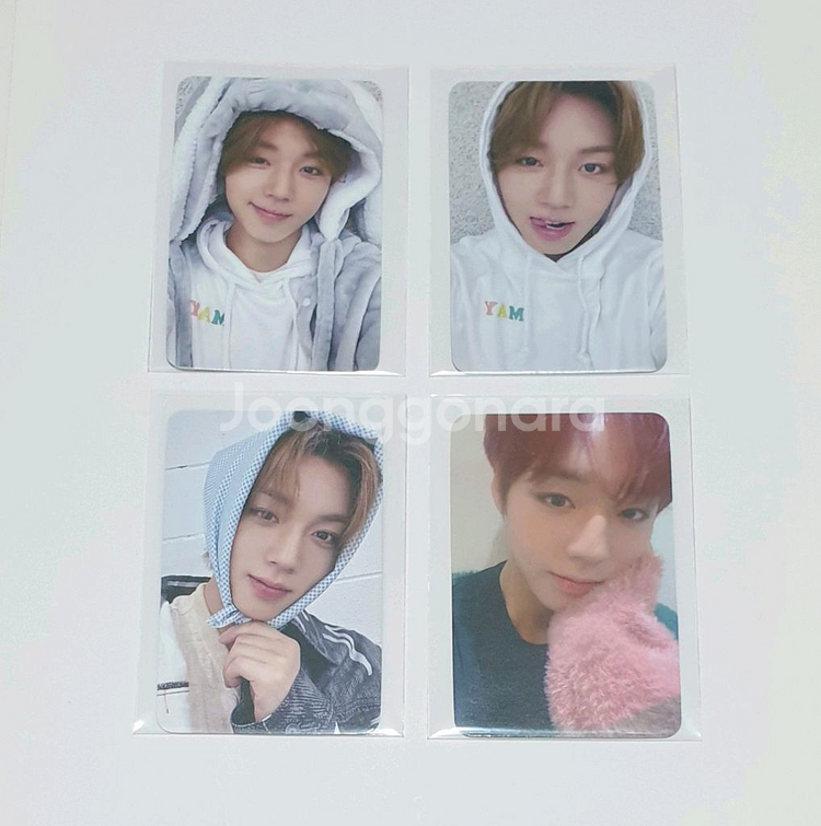 박지훈 마뮤테 디마뮤 미공포 세트 포토카드 포카 특전--0