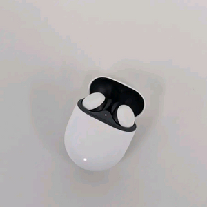 구글 픽셀 버즈2