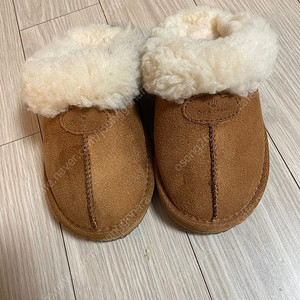 베어파우어그170