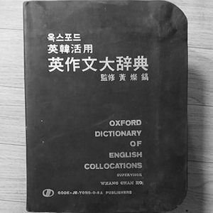 영 작문 대 사전
