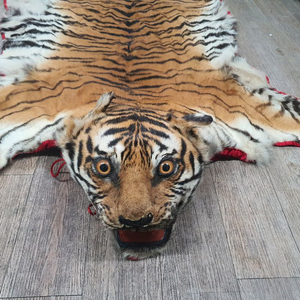 호랑이 오리지날 박제 모피