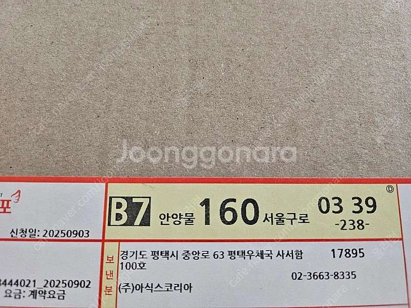 (미시착새상품) 아식스 메가 블라스트 250--2