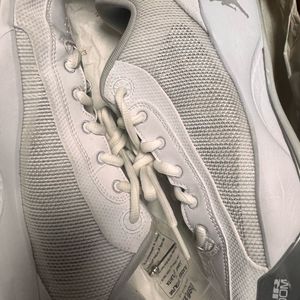 루카 77 290 풀박스 팝니다