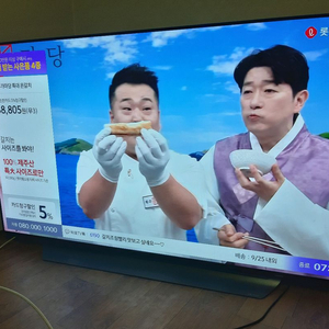LG OLED TV 65인치 OLED65C8PUA 고장