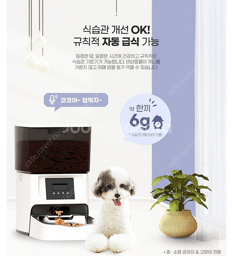 자동급식기 판매해요--4