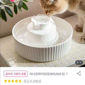 고양이 정수기 팝니다!(필터포함)