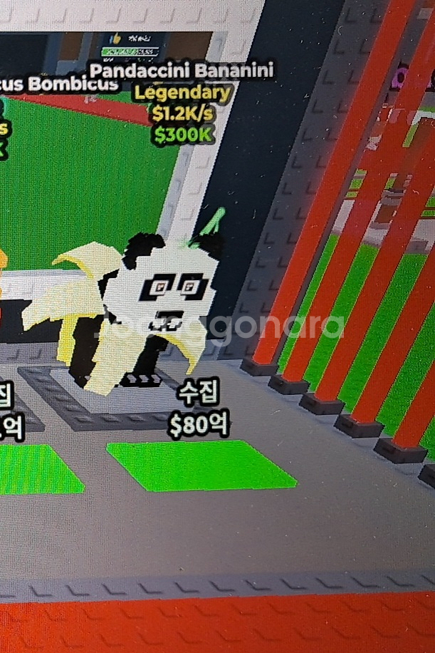 브레인 로스트 펫 판매해요--0