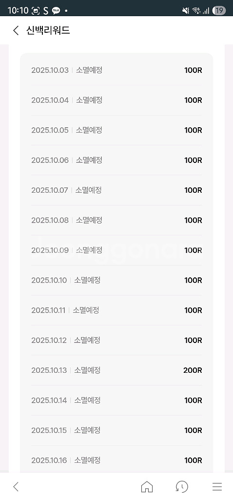 신백리워드 2400--0