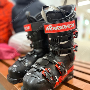 노르디카 도베르만 스키 부츠 235mm