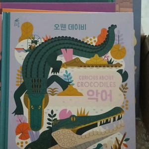 오웬 데이비 동물 클래식 세트 새상품