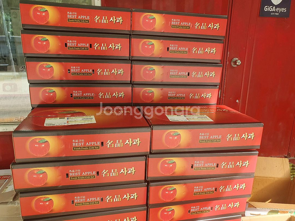 골드팜 사과 선물용,가정용 판매--1