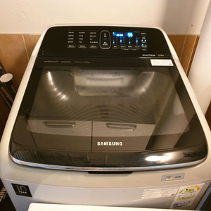 삼성-세탁기 통돌이/15kg (WA15N6790CS)