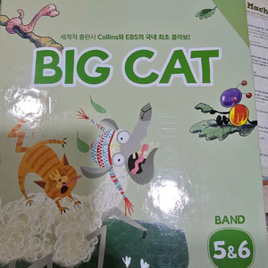 Big Cat - (BAND5) 영어