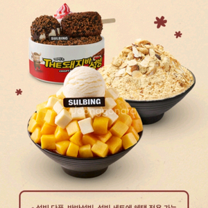 설빙 35% 할인쿠폰