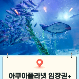 제주/ 여수/ 광교/ 일산 아쿠아플라넷 [빠른답장]