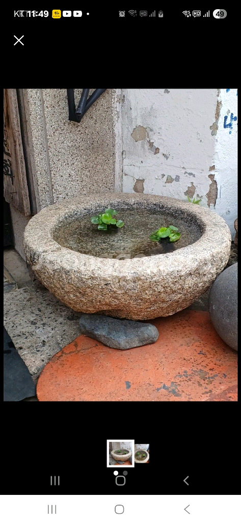 돌확--0