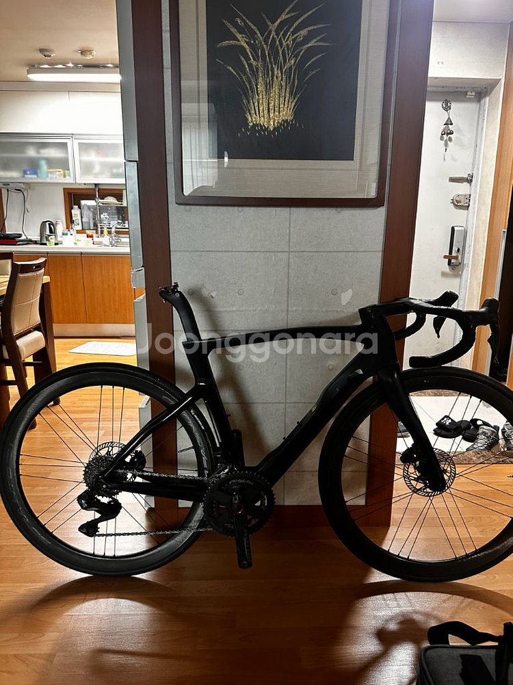 피나렐로 도그마 F 530사이즈--0