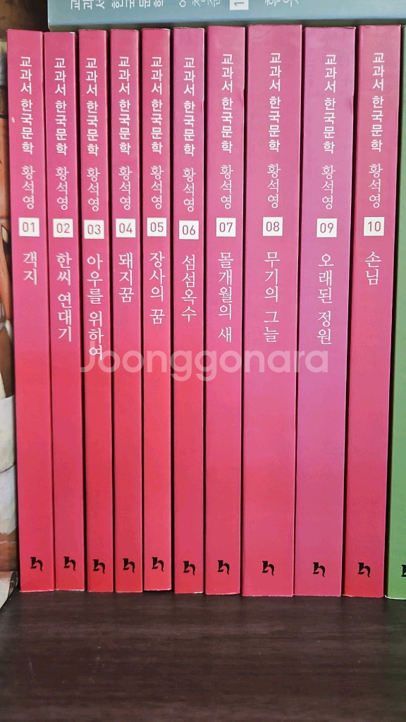 휴이넘]교과서 한국문학 황석영편 10권--0