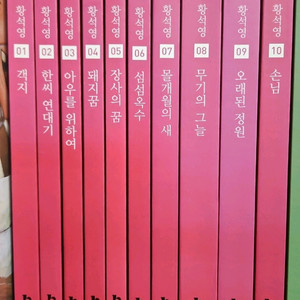 휴이넘]교과서 한국문학 황석영편 10권