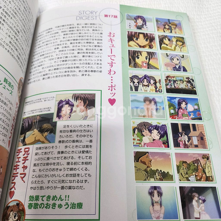 (일본서적) 애니 시스터 프린세스 완전 비주얼북--4