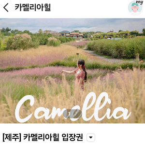 제주도 카멜리아힐