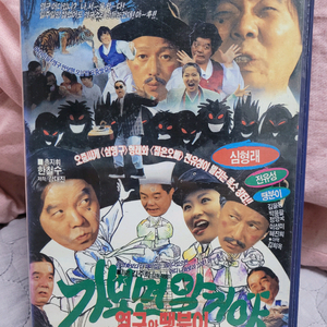 영구와땡분이 비디오테이프