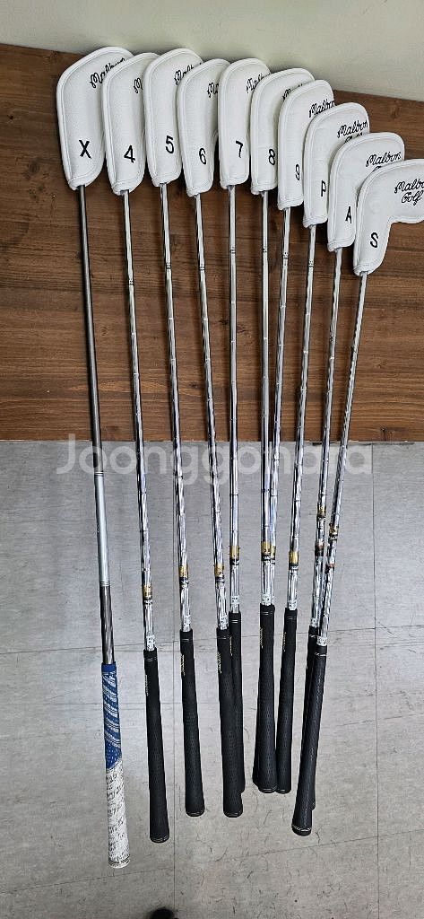 BMW Golfsport 골프백 & 타이틀리스트 골프채--7