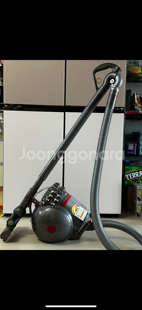 다이슨 시네틱 빅볼 cy22--0