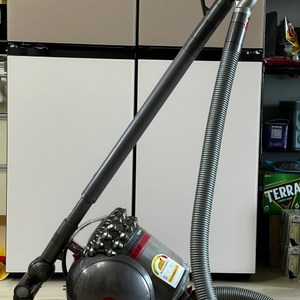 다이슨 시네틱 빅볼 cy22