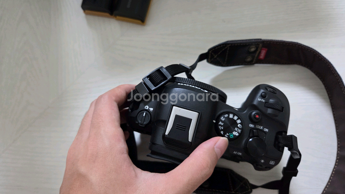 R6M2, RF 24-105 F4 L렌즈--3