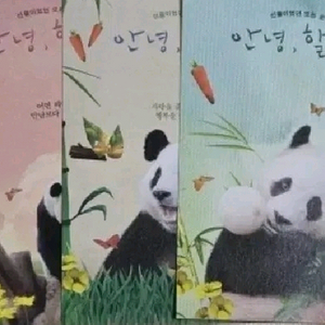 에버랜드 바오패밀리 굿즈 푸바오교통카드 및 엽서들 일괄