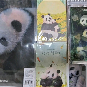 바오패밀리 에버랜드굿즈 및 푸바오 교통카드 일괄금액