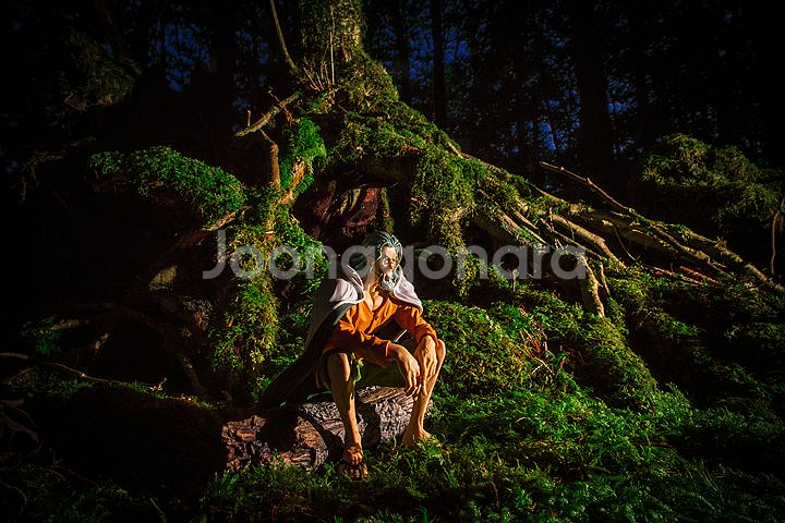 원피스 크리에이터 CXC 미호크,레일리,쿠잔,크로커다일--3