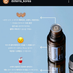 도테라 페퍼민트오일